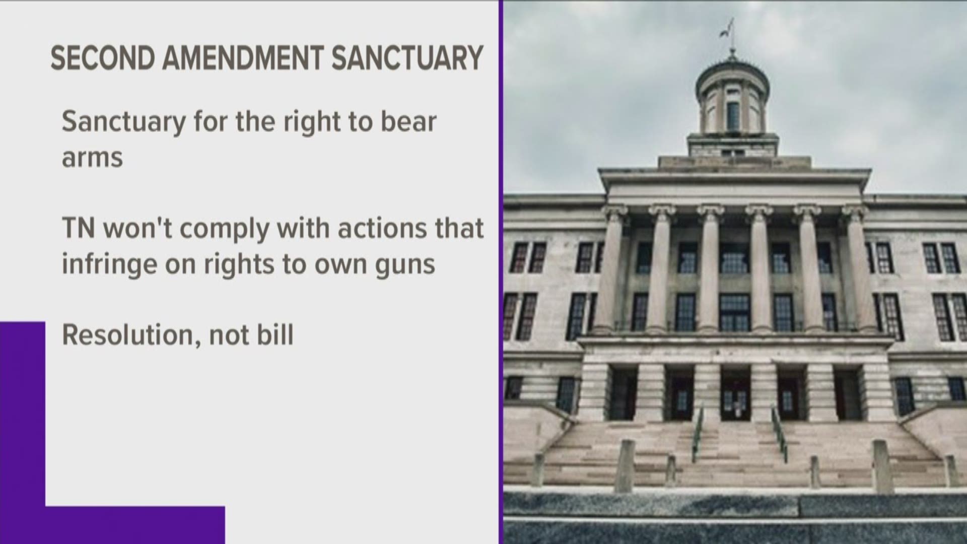 Seven East Tennessee counties already took symbolic votes in favor of becoming "gun sanctuaries."