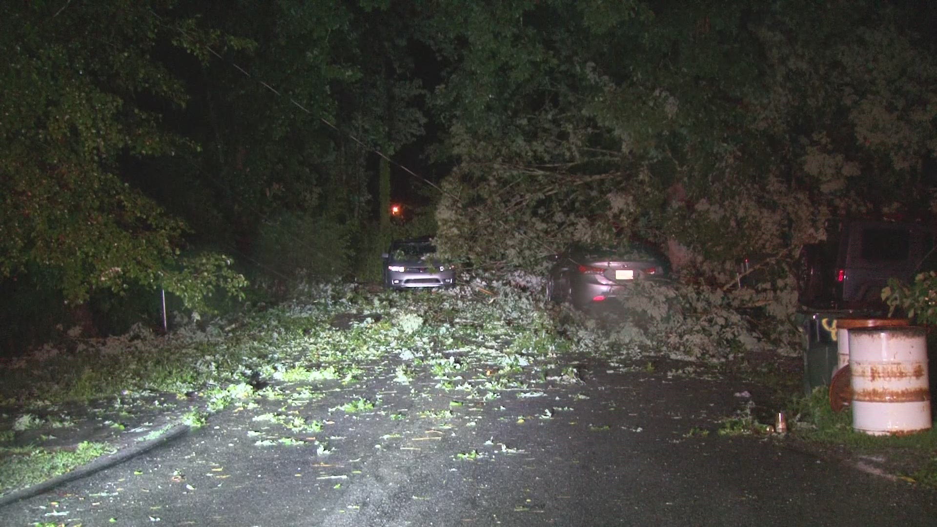 Violent storms that moved through East Tennessee brought trees down on top of houses and vehicles.