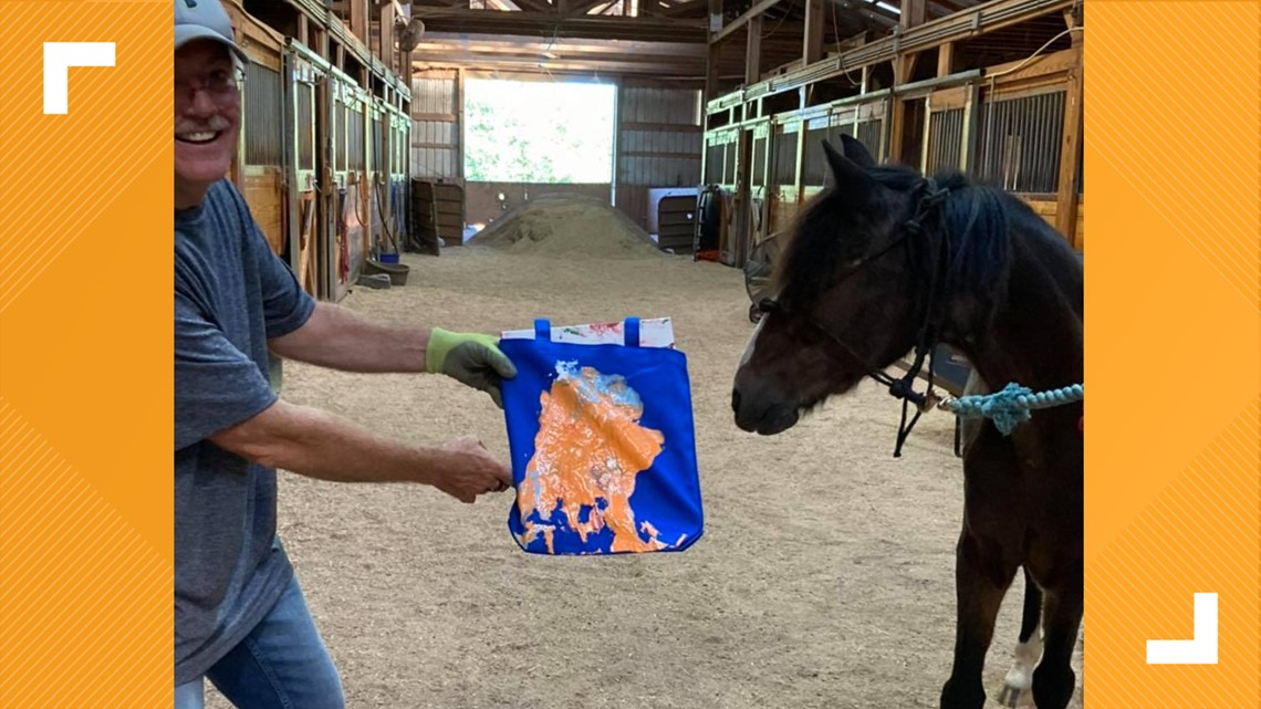 Horse Haven of Tennessee to host Fall Harvest Fest on Saturday with ...
