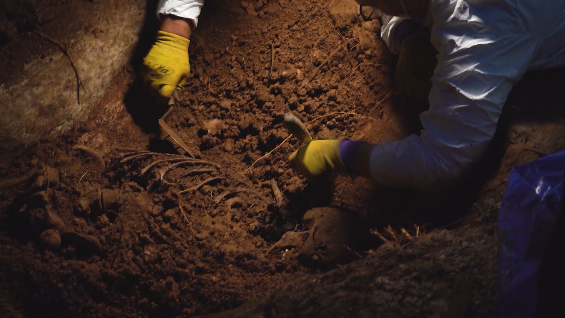 What goes on behind the locked gates of the Body Farm | wbir.com