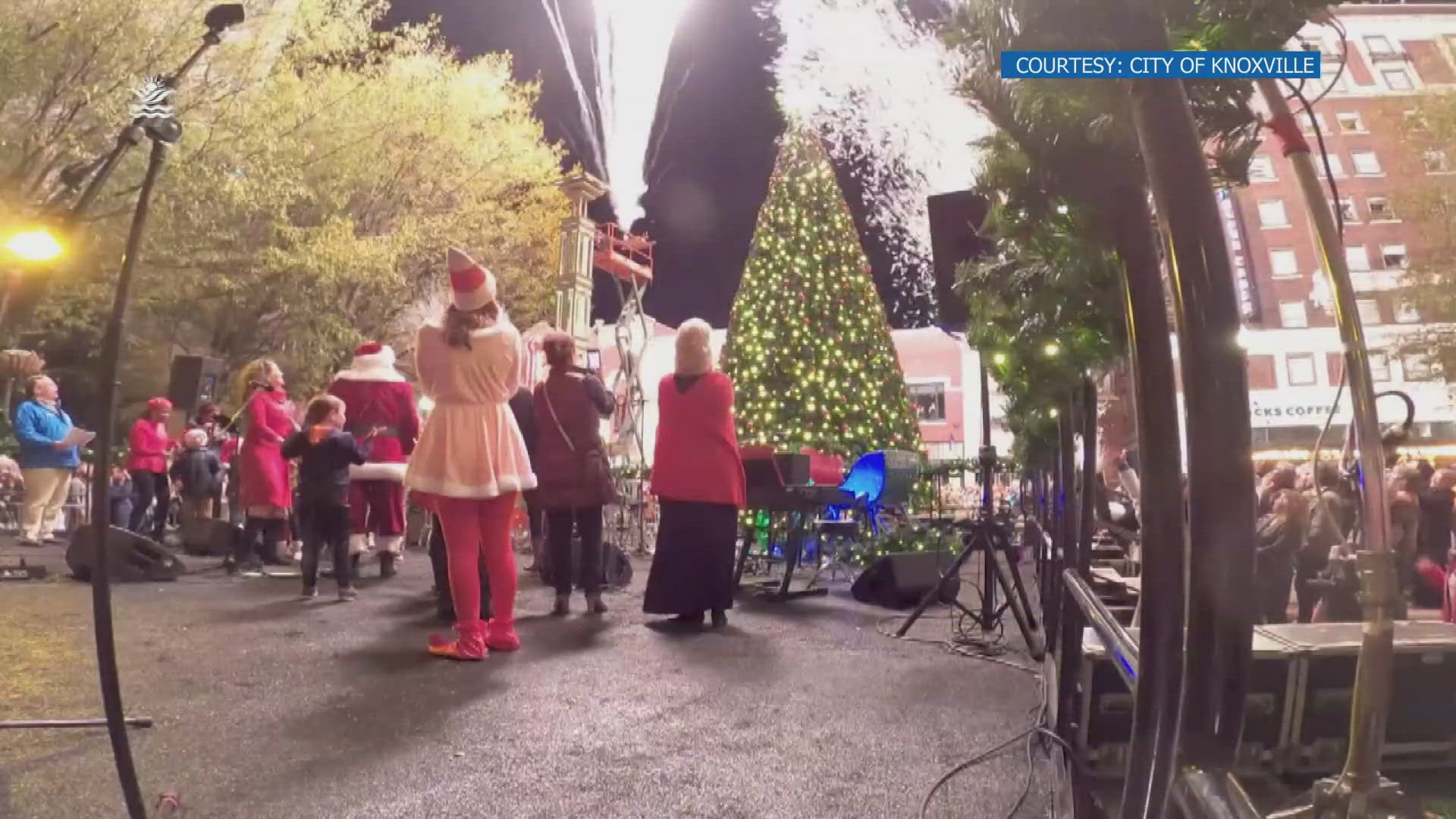 The tree lighting ceremony will begin in Krutch Park at 6 p.m. on Nov. 29.