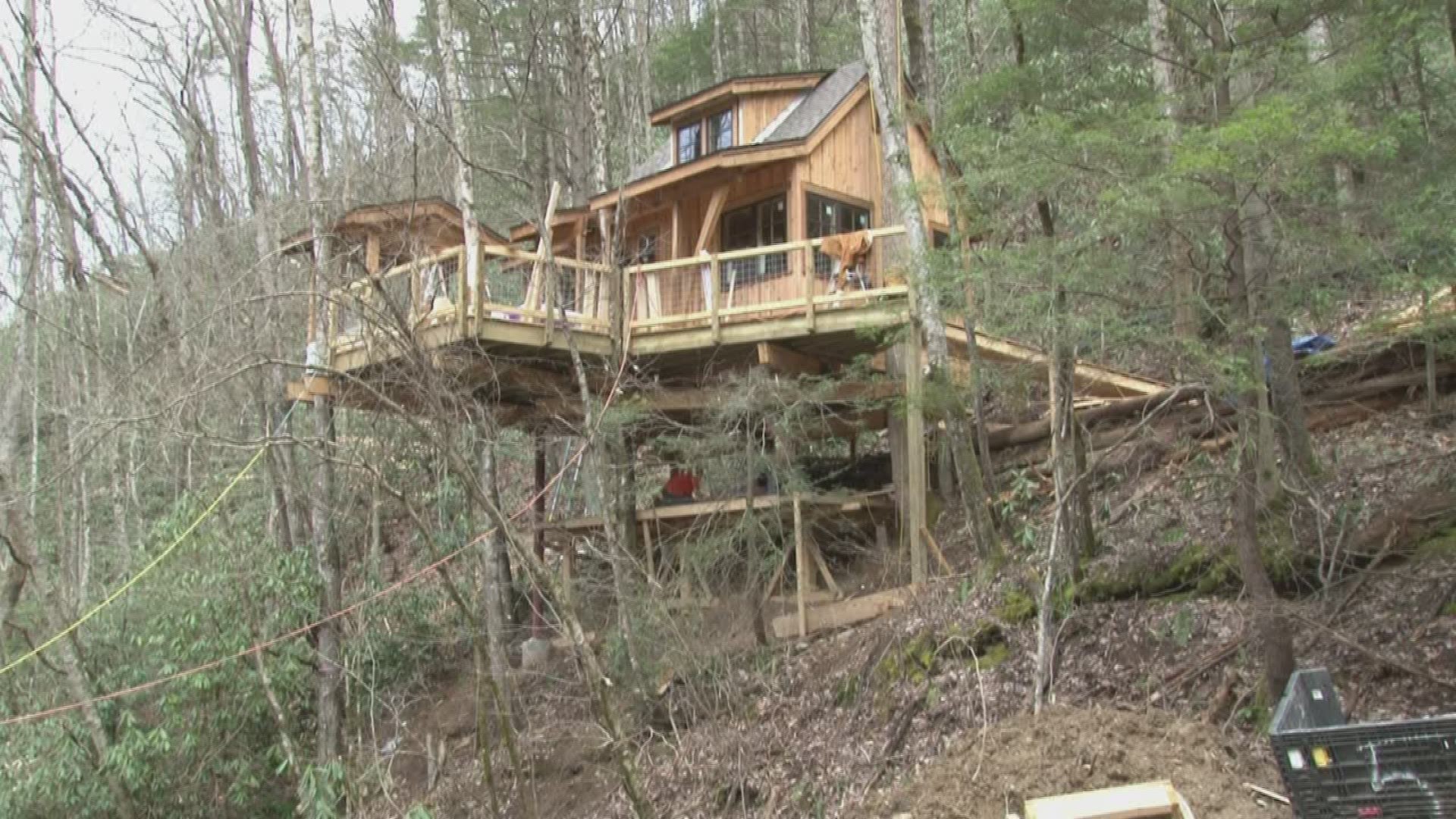 This isn't your typical Gatlinburg cabin and definitely not your typical treehouse.