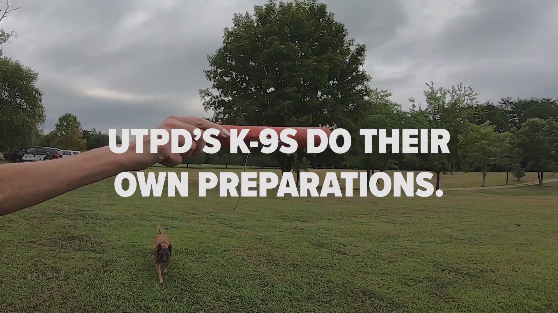 While the Vols practice for game days, these K-9s train to make sure security is a win every Saturday.