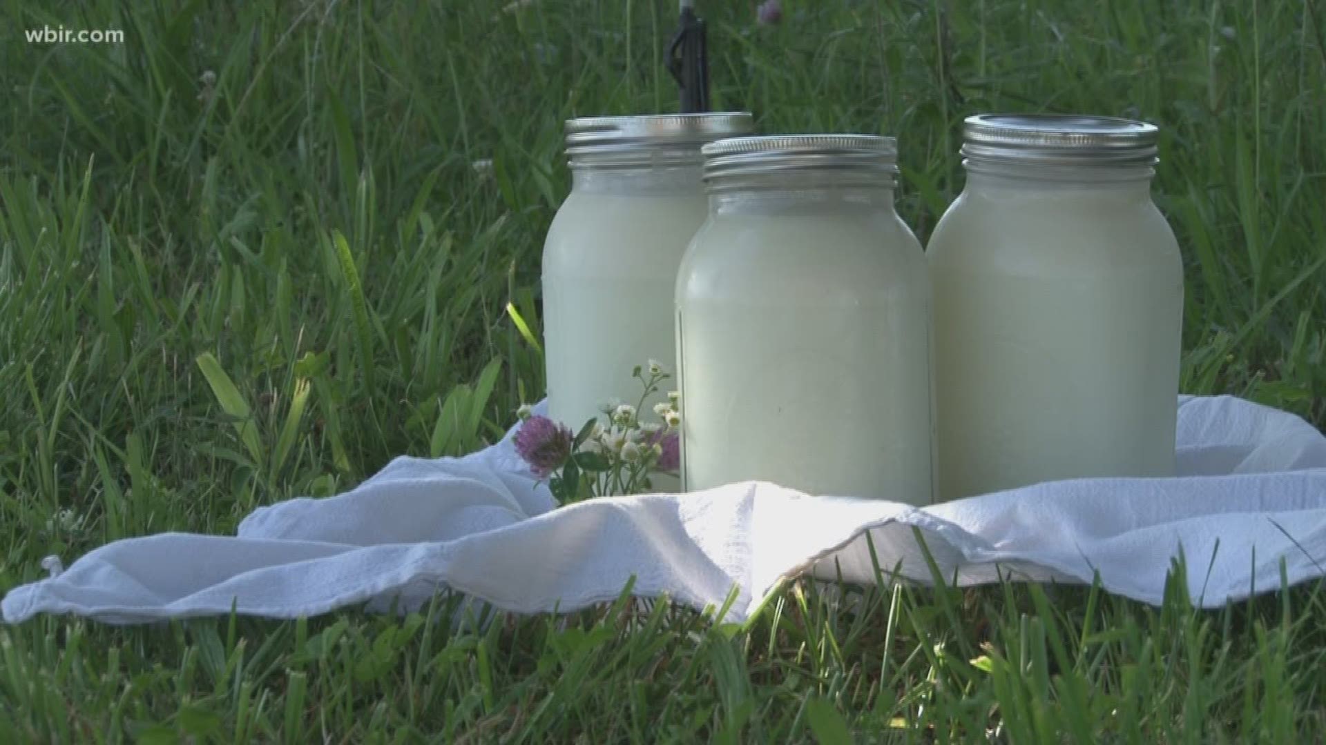 A dozen kids have been treated for E coli in the last few weeks. Health officials say most of them drank raw milk from French Broad Farm. The farm has complied with the investigation and investigators have found no issues.