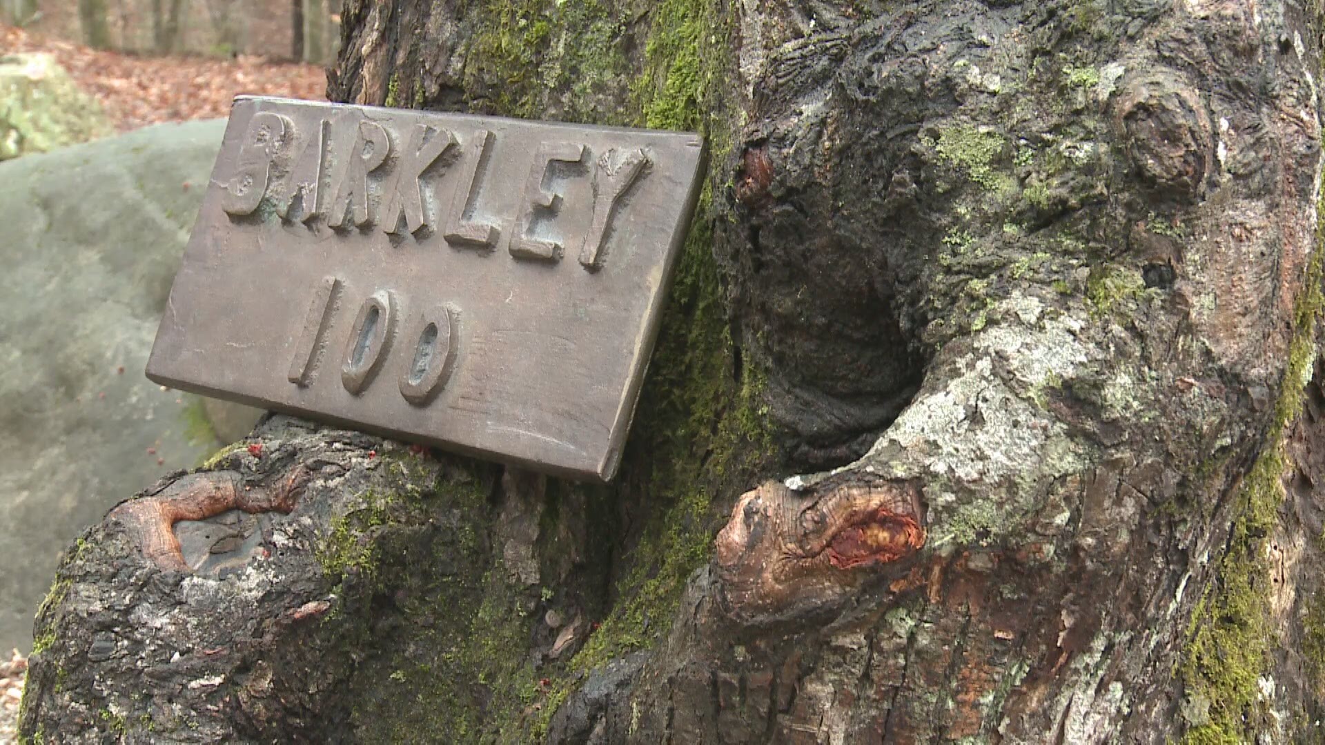 March 31, 2014:  One man finished the 2014 Barkley Marathons, a ridiculous race that humbles the largest ultra-marathon egos in the running world.