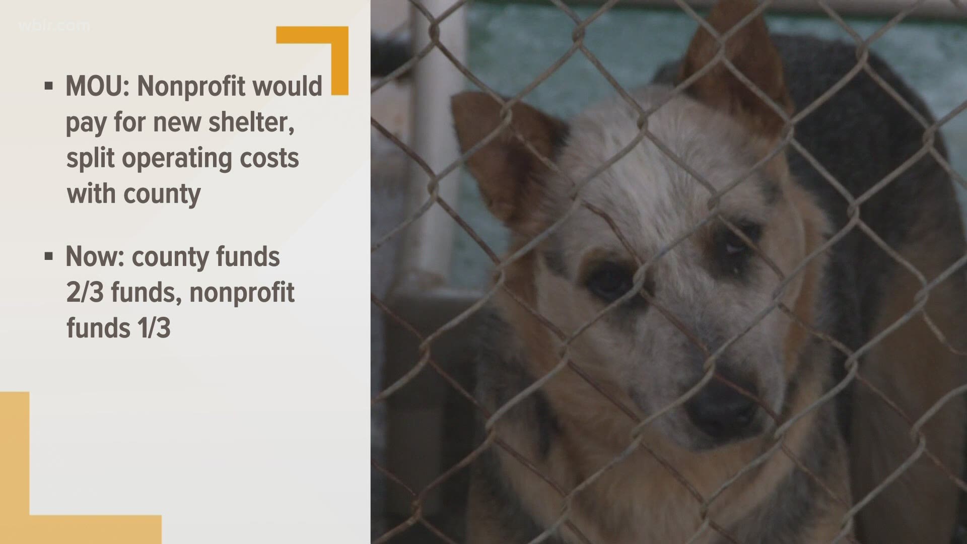 Plan to fund new Monroe County animal shelter fails in 5-5 vote 