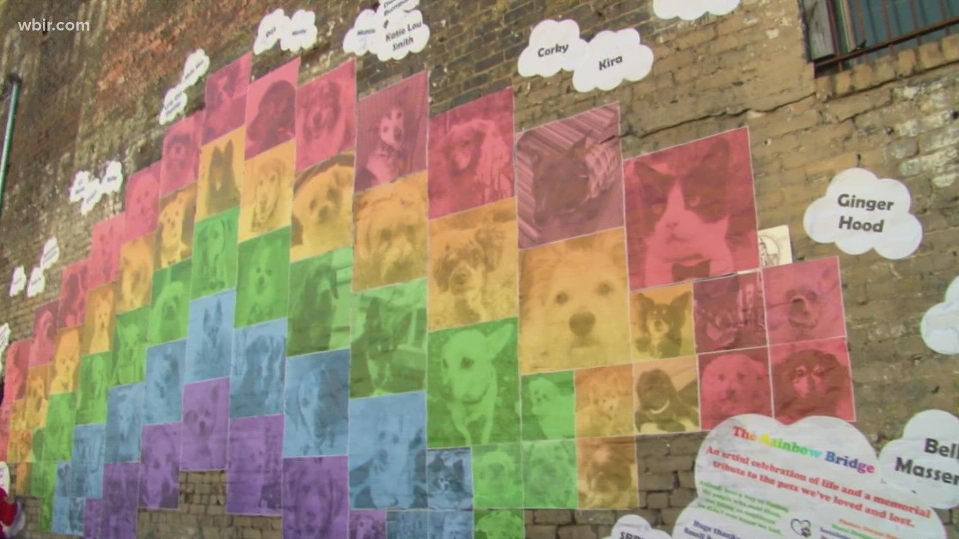 The Small Breed Rescue of East Tennessee helped put together a mural for pet owners.