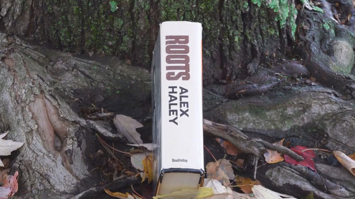 Knox County Board of Education members question removal of 'Roots' from school libraries