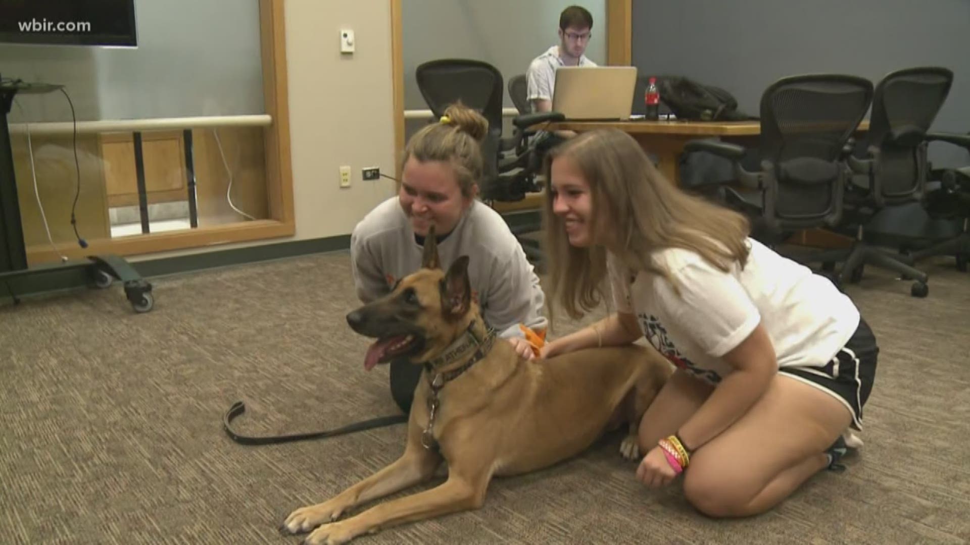 Students, faculty and staff at the University of Tennessee had the chance to meet the UT Police Department K-9s Wednesday.