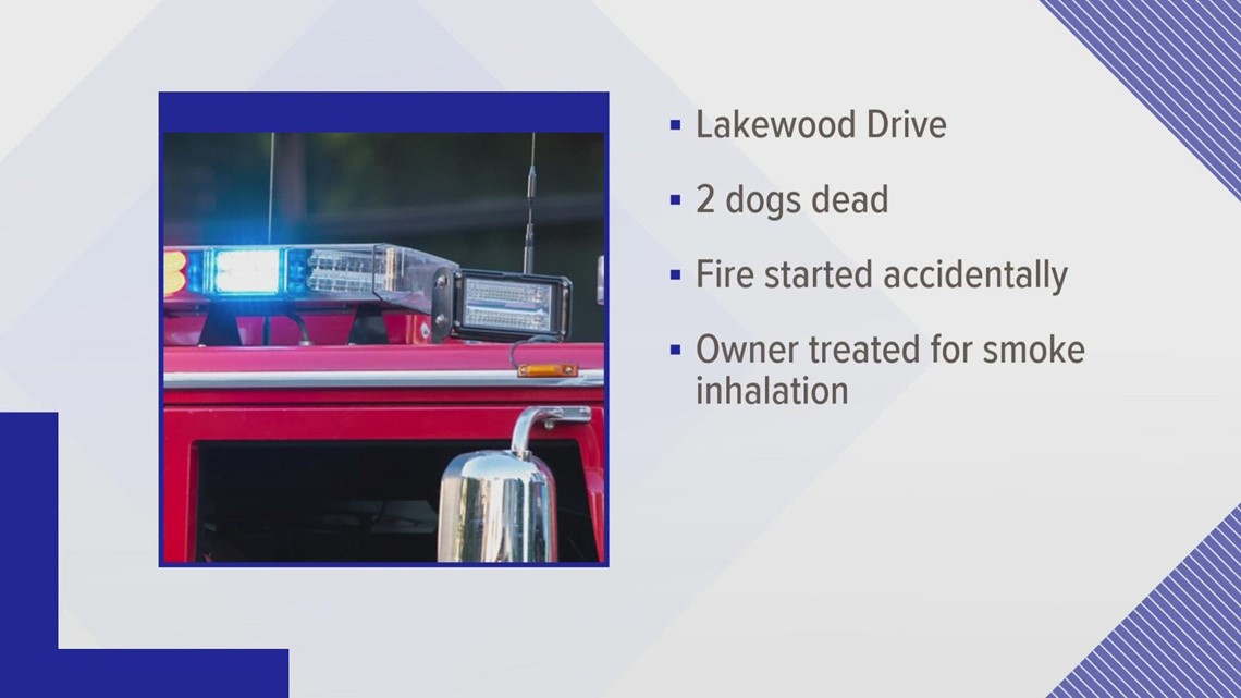 Two dogs dead after fire at Kingston home | wbir.com