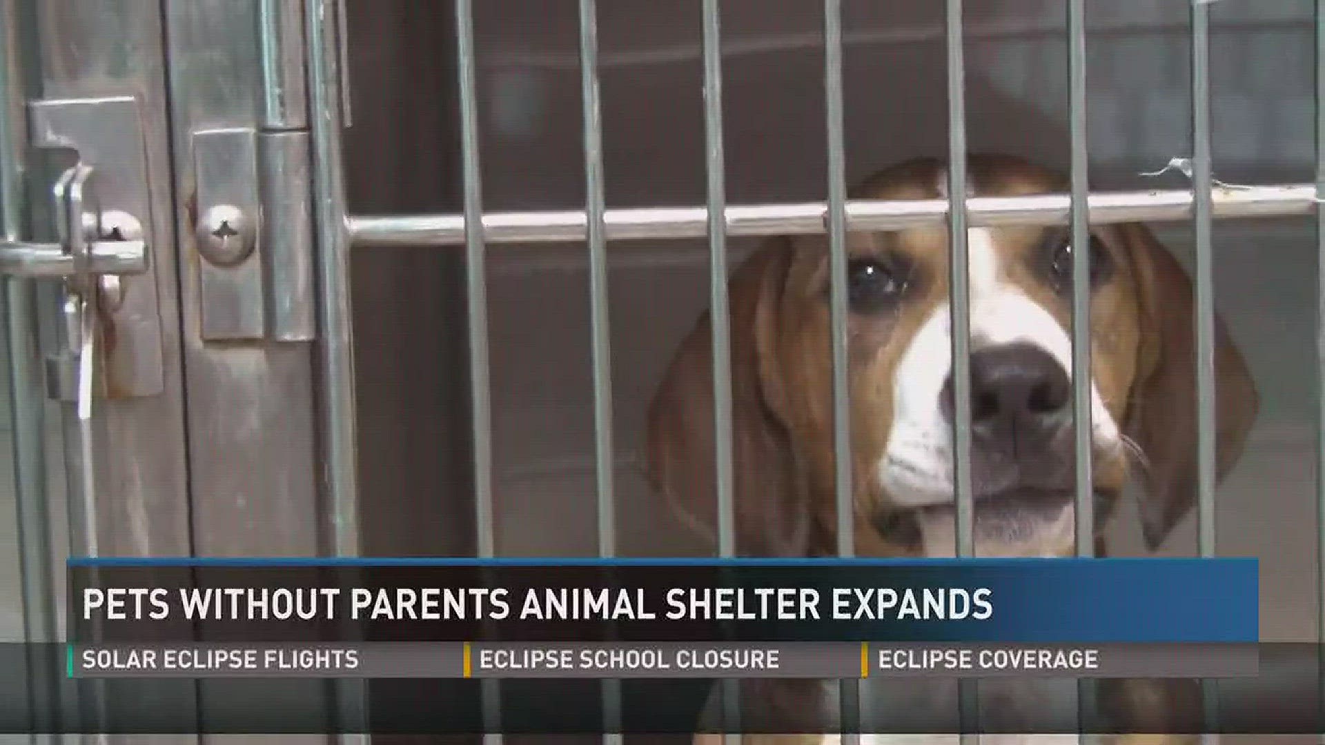 July 27, 2017: Pets Without Parents animal shelter in Sevier County is working to build a new facility to house an influx of animals.