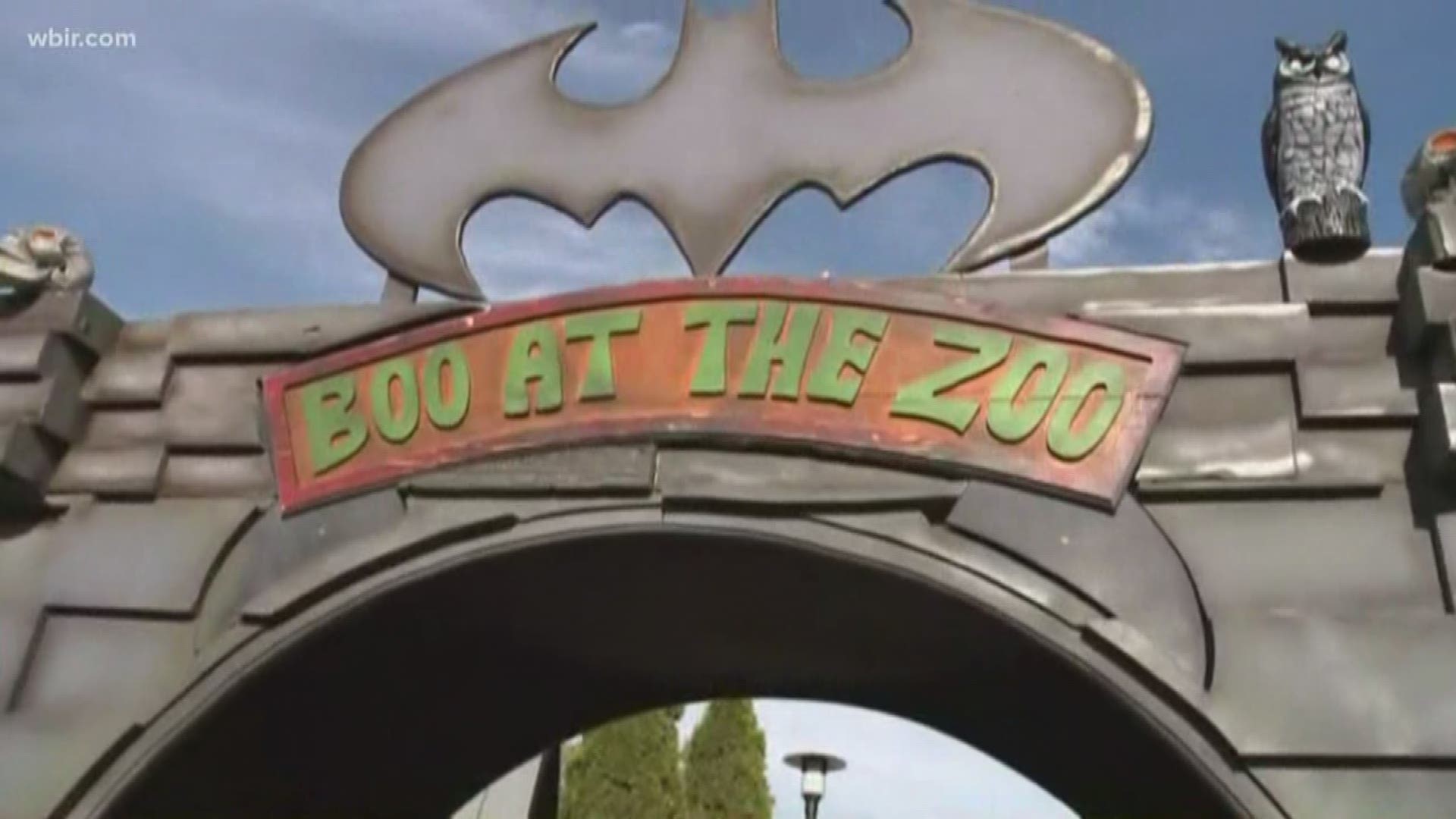 Boo! at the the Zoo opens for it's first weekend at Zoo Knoxville