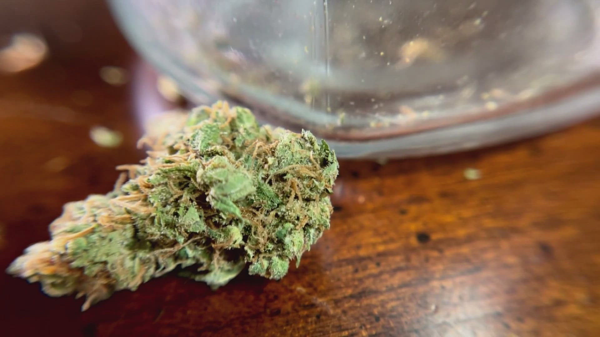 From passing universal school vouchers to banning the sale of THCA products in Tennessee, here are the bills we reported on. 