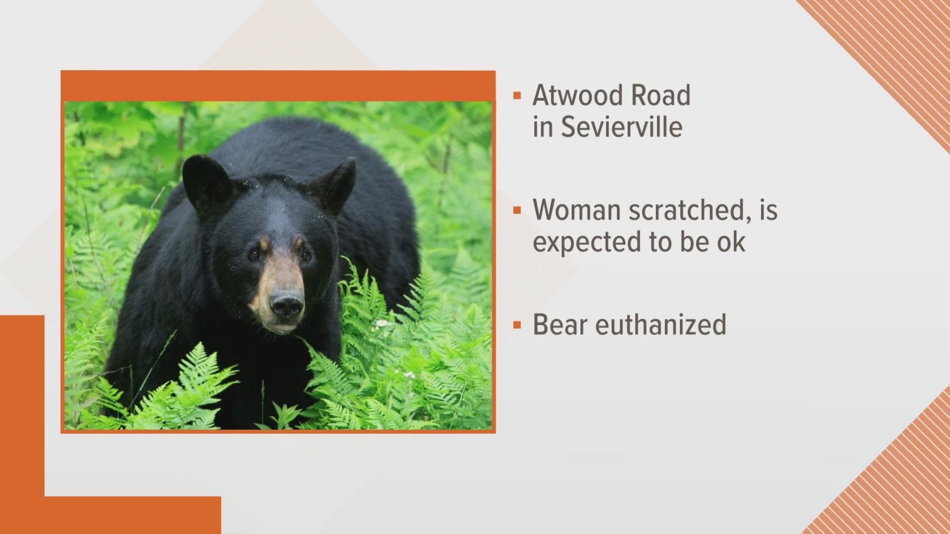The report says the woman shook a lawn chair to try and scare the bear off.
