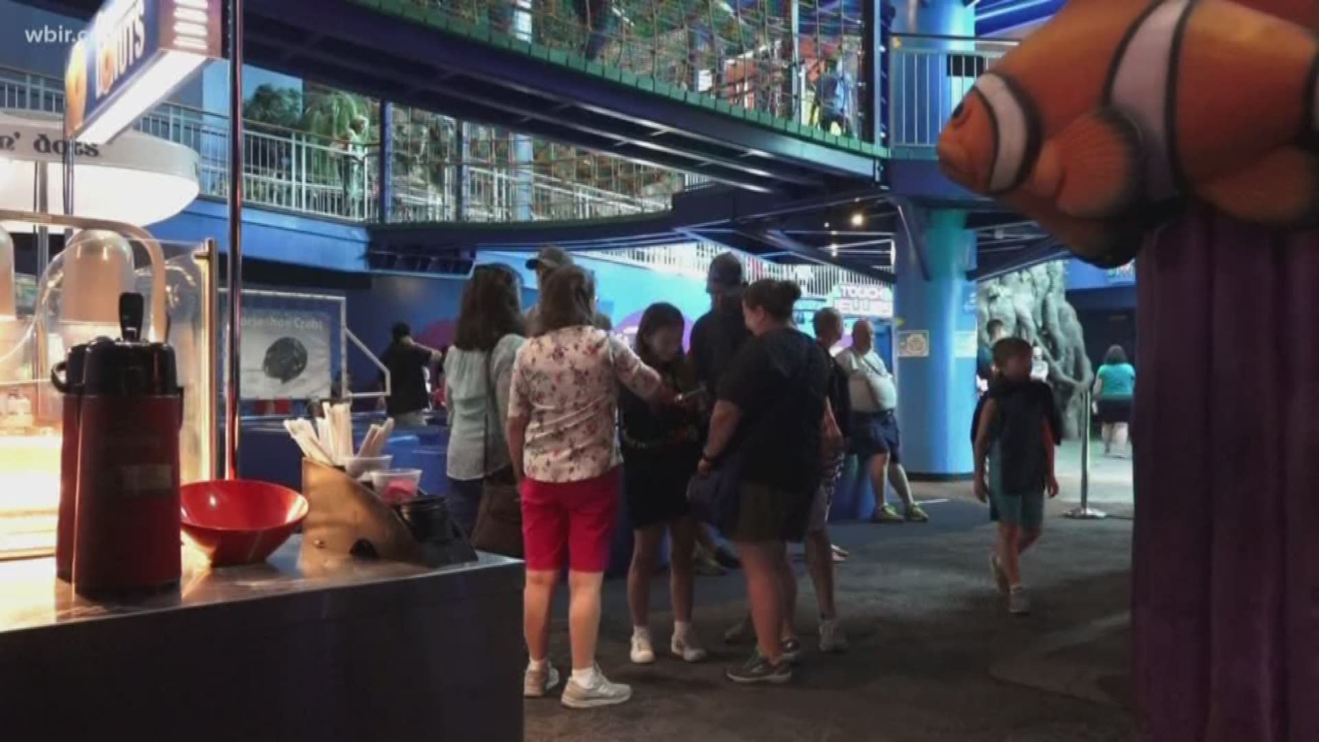 Ripleys Aquarium of the Smokies is now a Certified Autism Center, becoming e the first business in the state to earn the designation. The staff is taking extra steps to make sure all visitors enjoy their visit including noise-cancellation headphones and quiet rooms and benches away from the main walkway that offer a dark, soothing space.  o June 25, 2019-4pm.