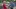 Dollywood parks host Sevier County Days