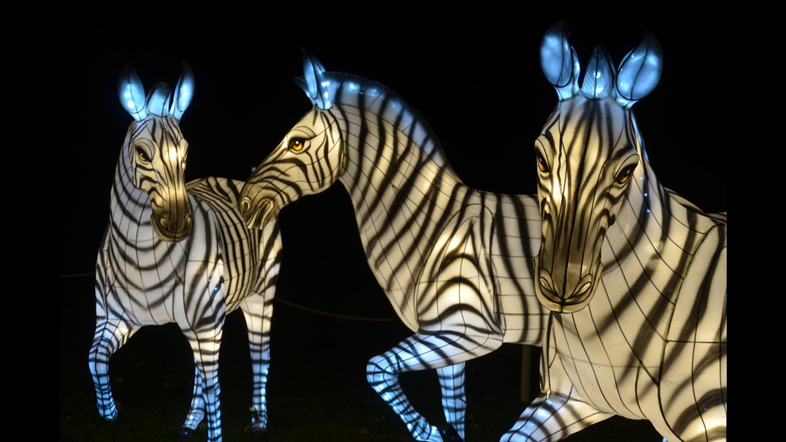 Zoo Lights event returns to Zoo Knoxville on Friday, Nov. 25