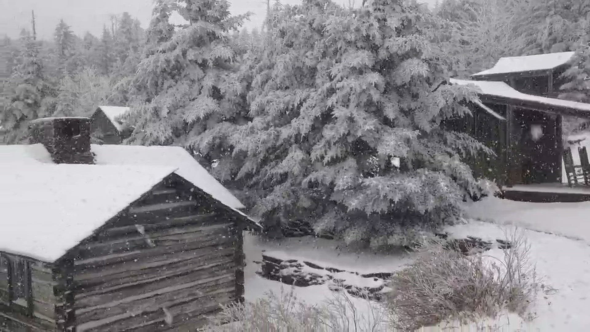 Mt. LeConte saw at least 6 inches of snow Saturday as frigid, wet weather moved through East Tennessee. (Video courtesy the LeConte Lodge and the Great Smoky Mountains National Park)