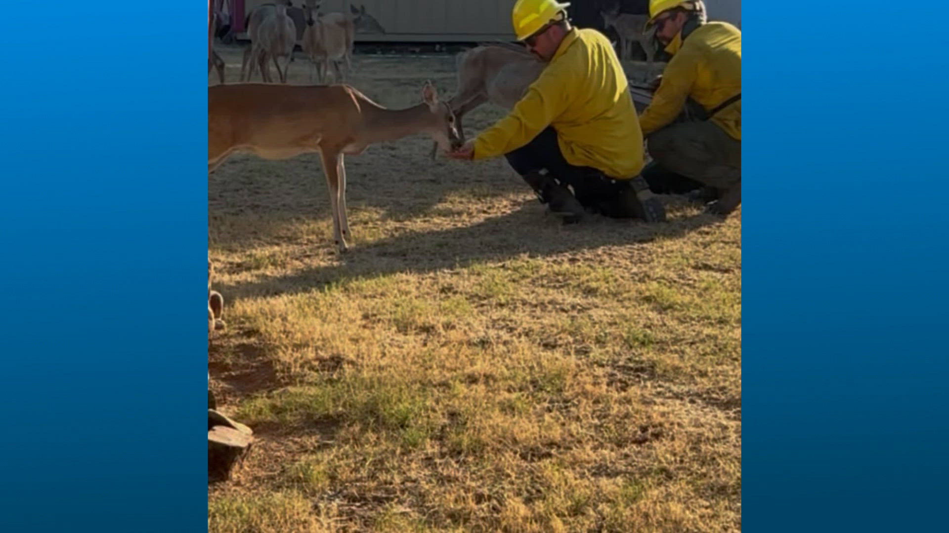 The difference between burn bans and restrictions | wbir.com