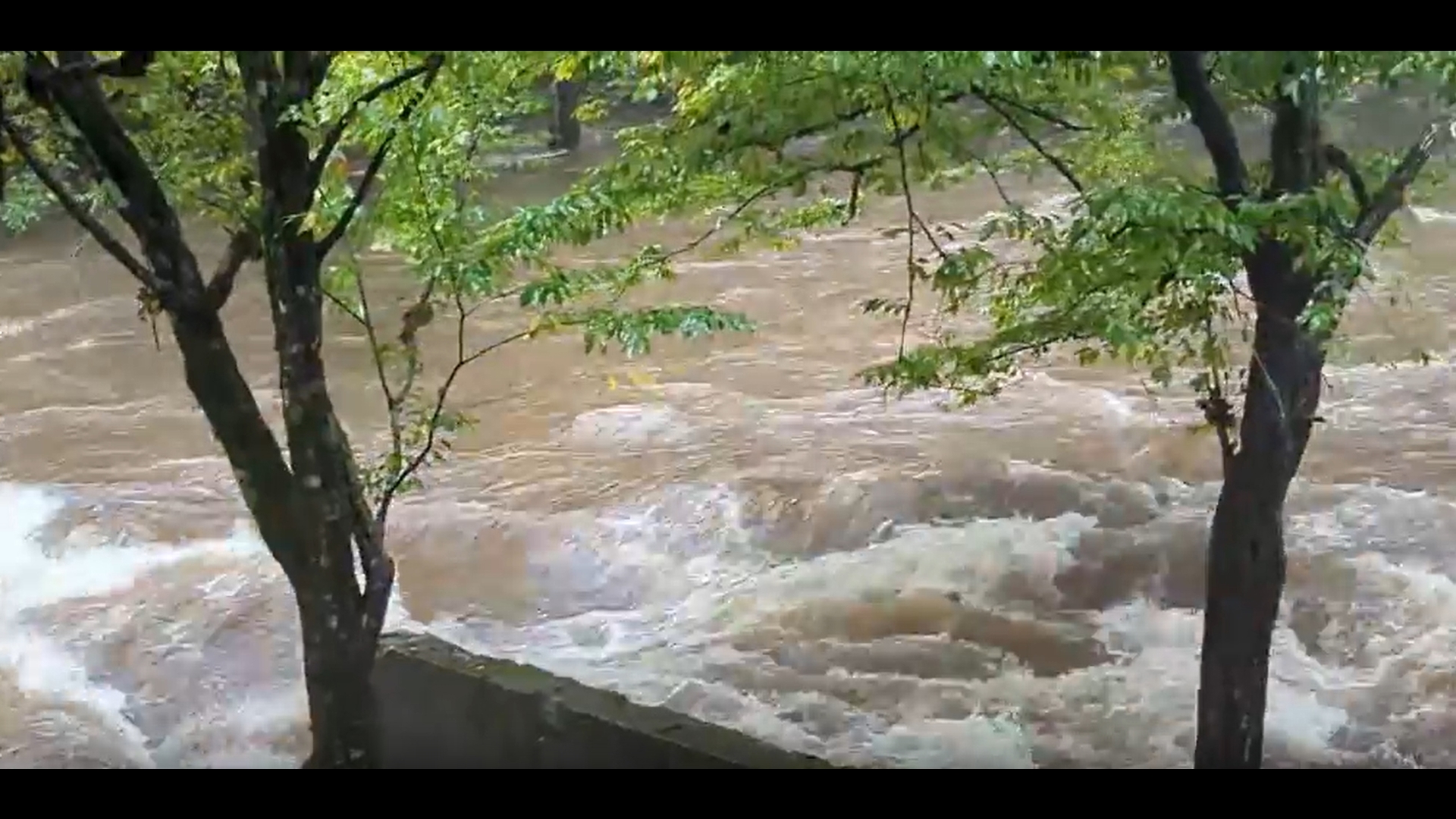 This video shows rapid water movement at a Townsend Campground