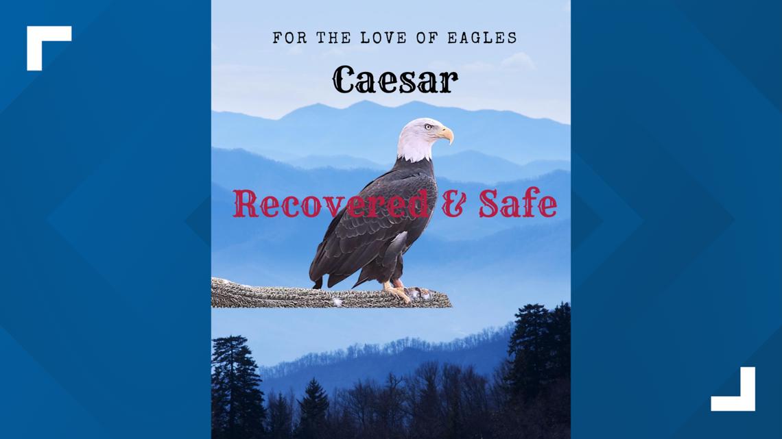 With help from the community, the American Eagle Foundation has found one of the missing eagles from Dollywood. But eagles Rockland and Wesley are still missing.