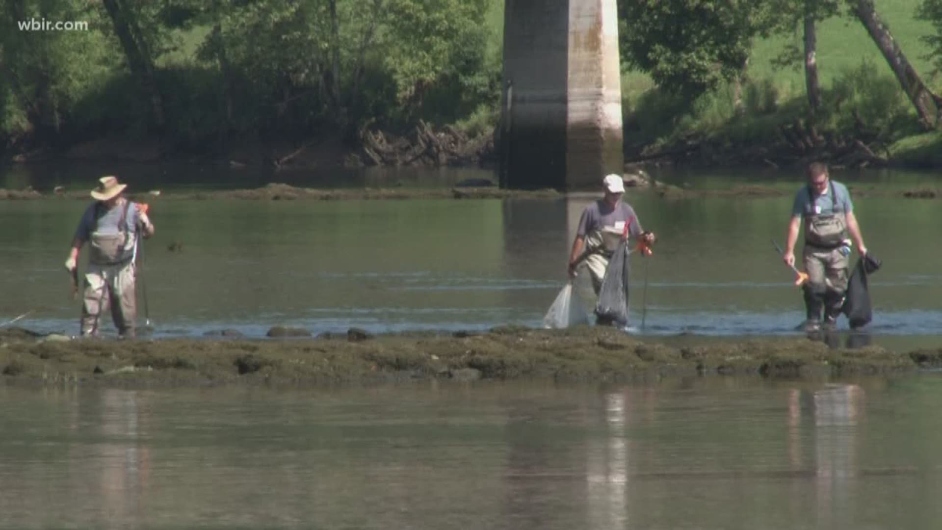 Volunteers clean up thousands of pounds of trash from the Clinch River.