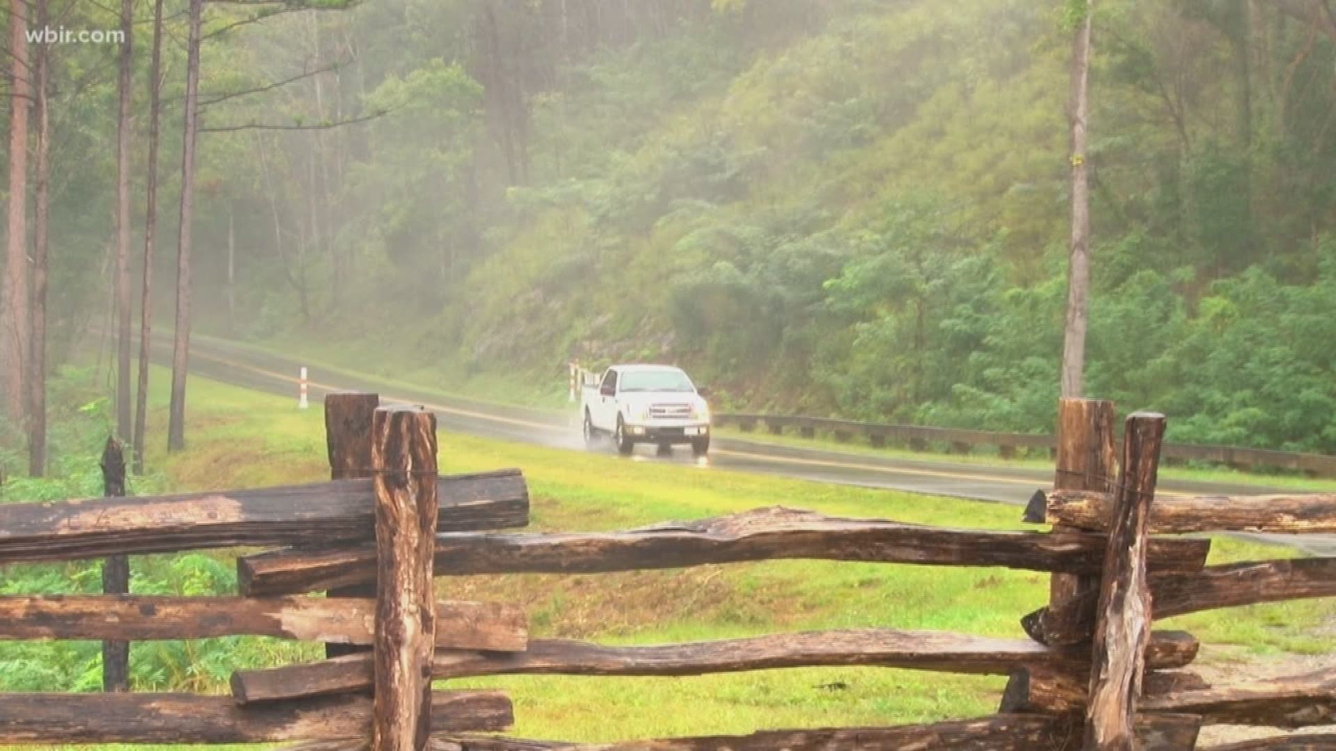 Florence brought gusty wind and nearly an inch of rain to the Great Smoky Mountain National Park.