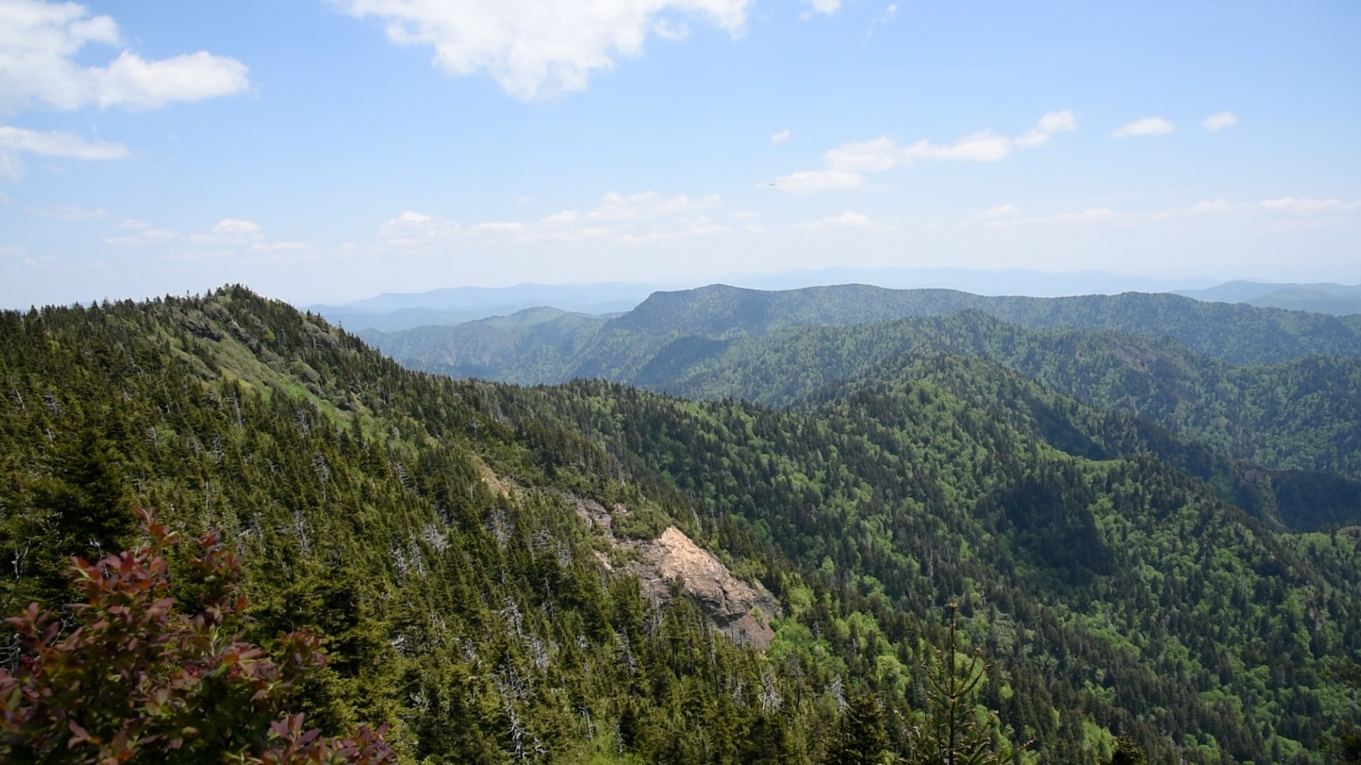 Mount LeConte is the third-highest peak in the Great Smoky Mountains National Park.