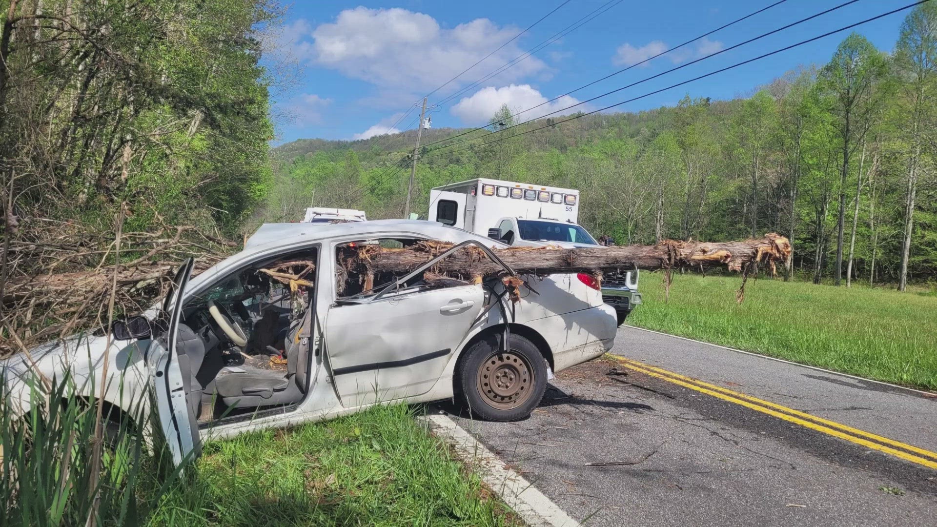 The South Greene Volunteer Fire Department said the vehicle left the roadway, striking a tree that went through the front windshield and out the back of the car.