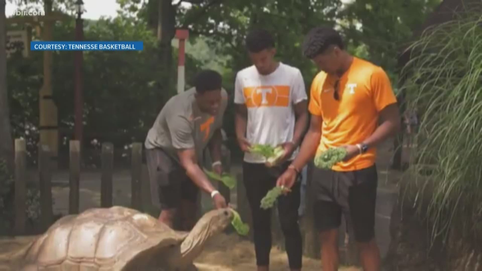 Vol hoops star Admiral Schofield admitted he didn't realize Knoxville had a zoo... until they invited the team out for a tour.