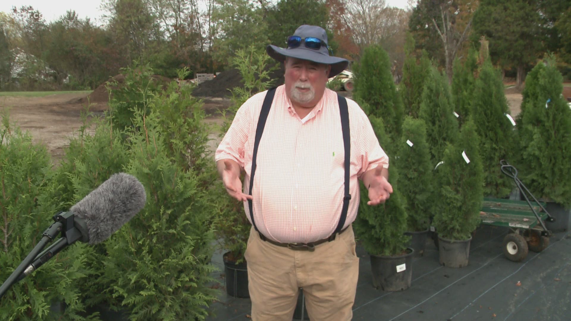 Neal Denton with the UT Extension in Knox County shares some advice about how to choose the right screening plants when you want extra privacy around your home.