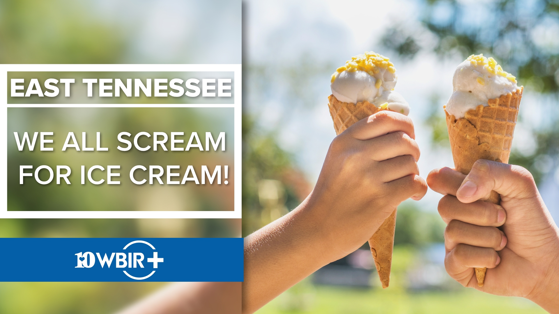 Join us as we explore some of East Tennessee's favorite spots to enjoy this tasty summer treat.