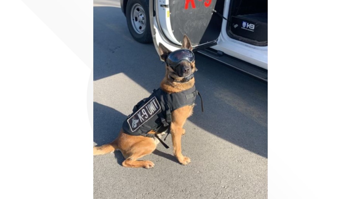 The Morristown Police announce the retirement of K-9 | wbir.com