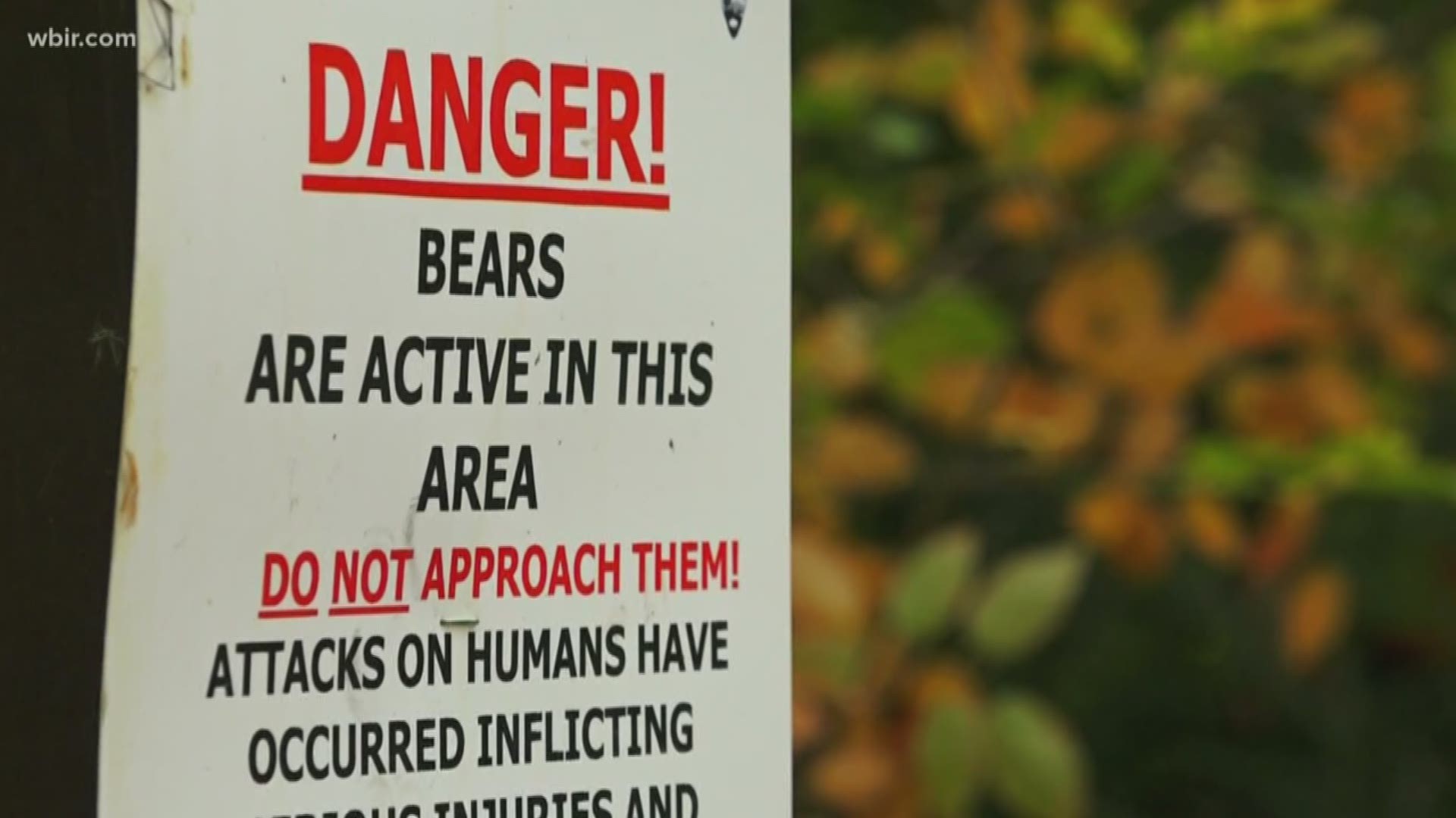 Aggressive bear behavior has closed down a shelter in the Great Smoky Mountains National Park.