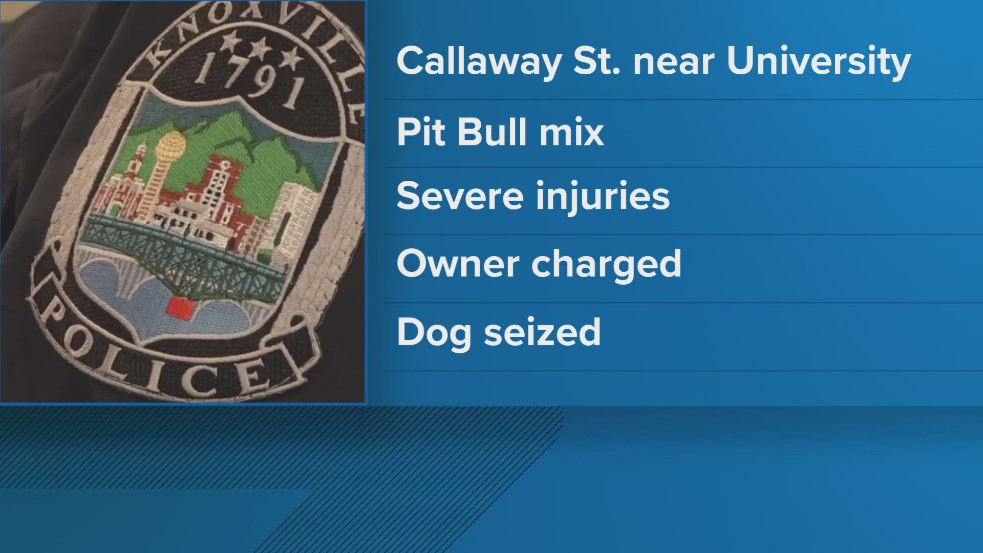 The teen boy was walking to a school bus stop on the 1300 block of Callaway Street around 7:30 a.m. when the off-leashed dog attacked him.