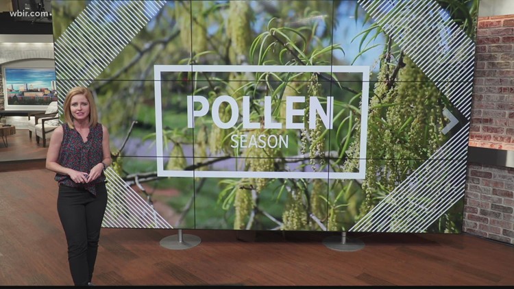 A new study shows that pollen season is starting sooner, lasting longer and is more intense