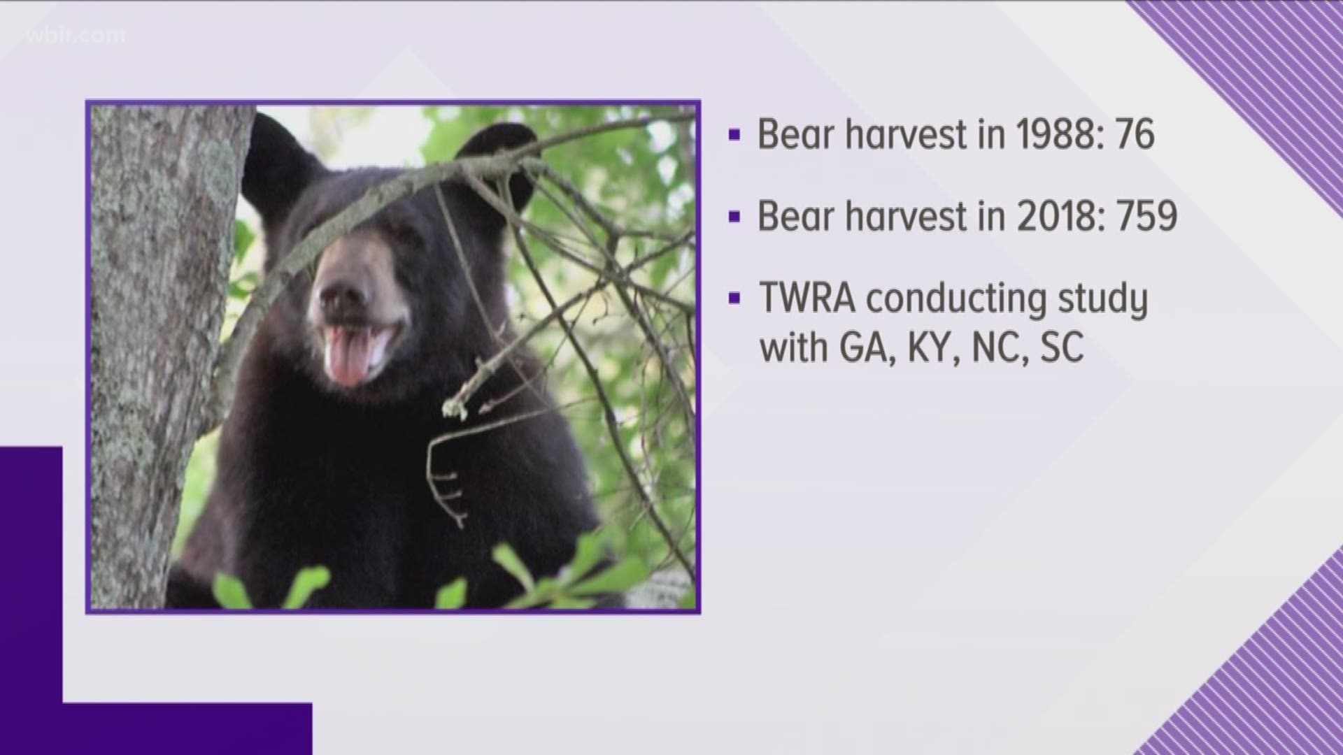 The TWRA says hunters in Tennessee harvested a record number of bears this season.