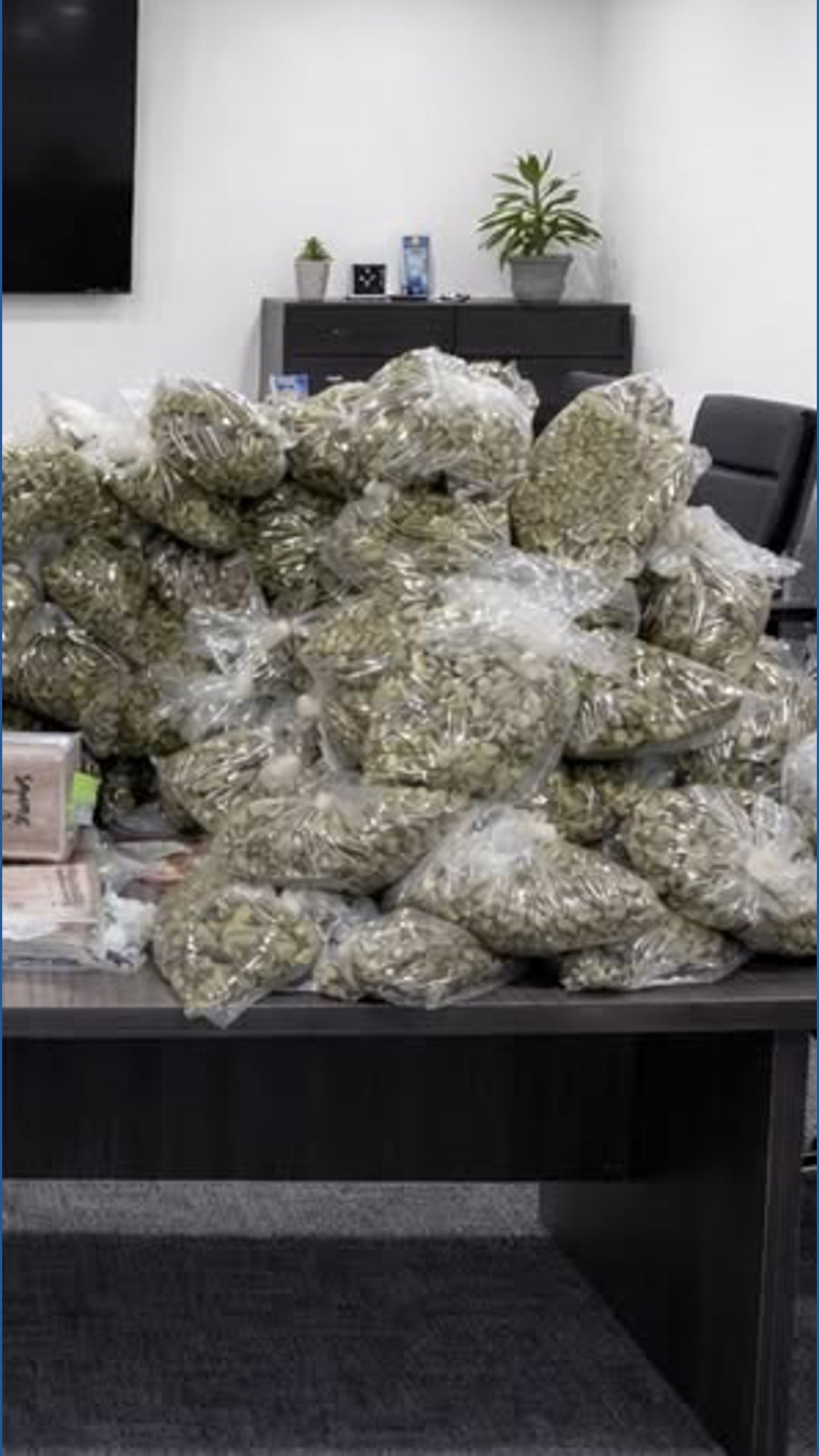 Drug task force seizes over $10M worth of narcotics | wbir.com