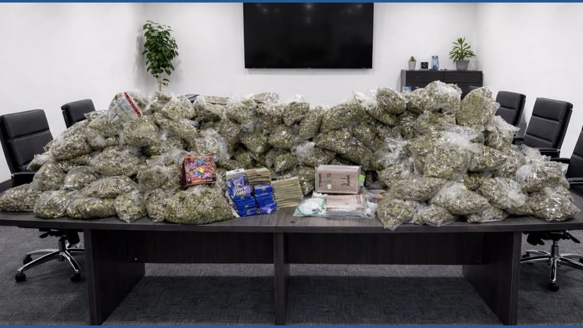 Drug task force seizes over $10M worth of narcotics | wbir.com