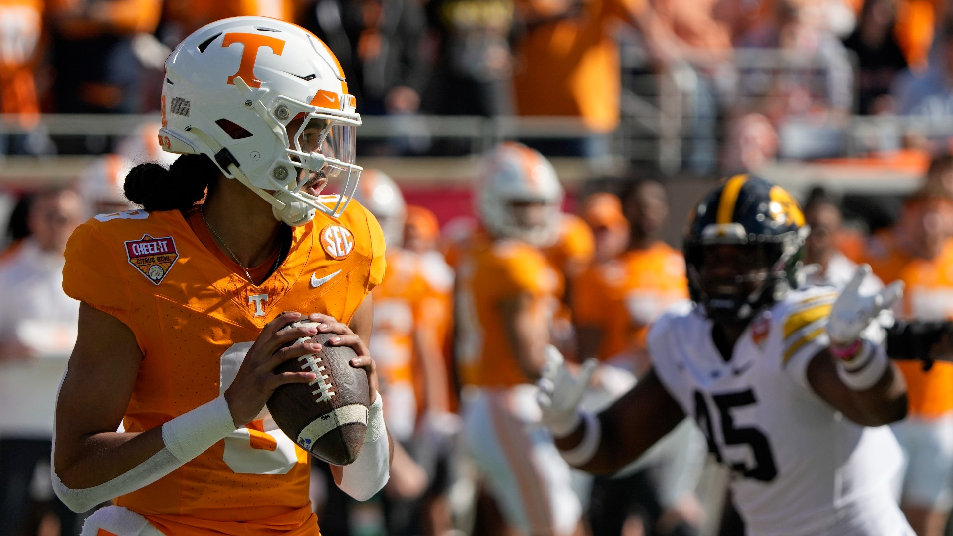 Red wolf experiment left lasting legacy in Smokies | wbir.com