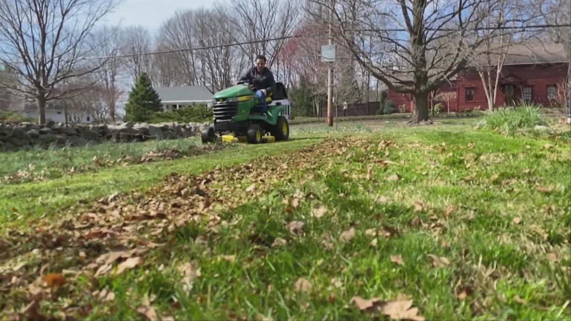 How to stay safe while taking care of your yard