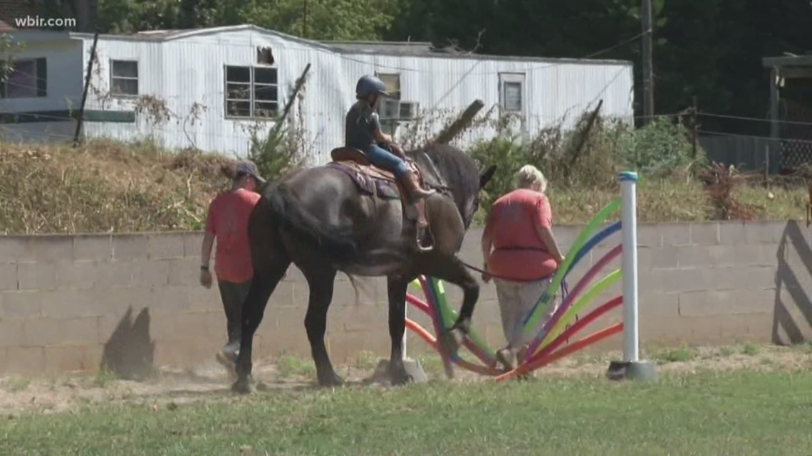 Horse Haven of Tennessee introduces First Sundays full of obstac | wbir.com