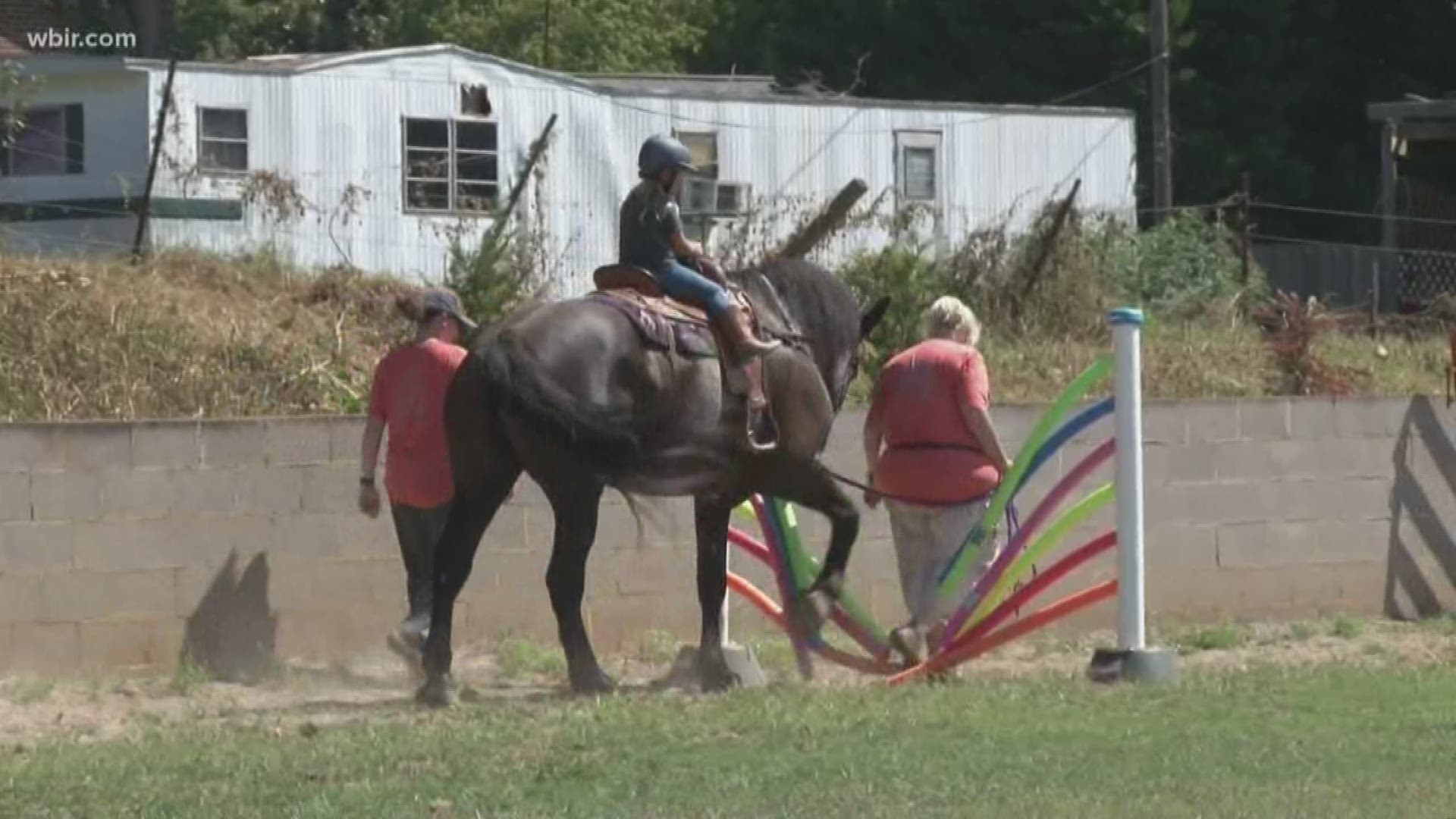 The obstacle course is a fun new initiative to bring awareness to horse adoptions and a chance for horses and their riders to bond.