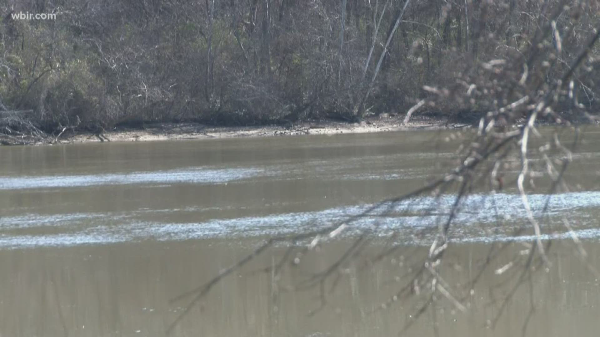 Some people toss their trees into lakes as fish habitats... but TVA said if not done properly, that can introduce hazards in the water.