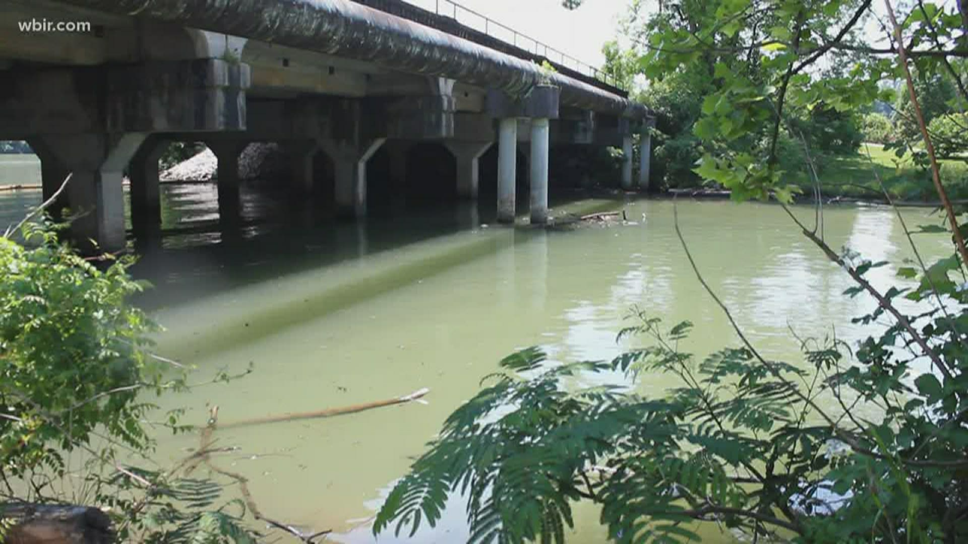 State documents show pollutants and bacteria such as E. coli and mercury in Beaver Creek, First, Second and Third Creek in Knoxville, Fort Loudon Lake and more.