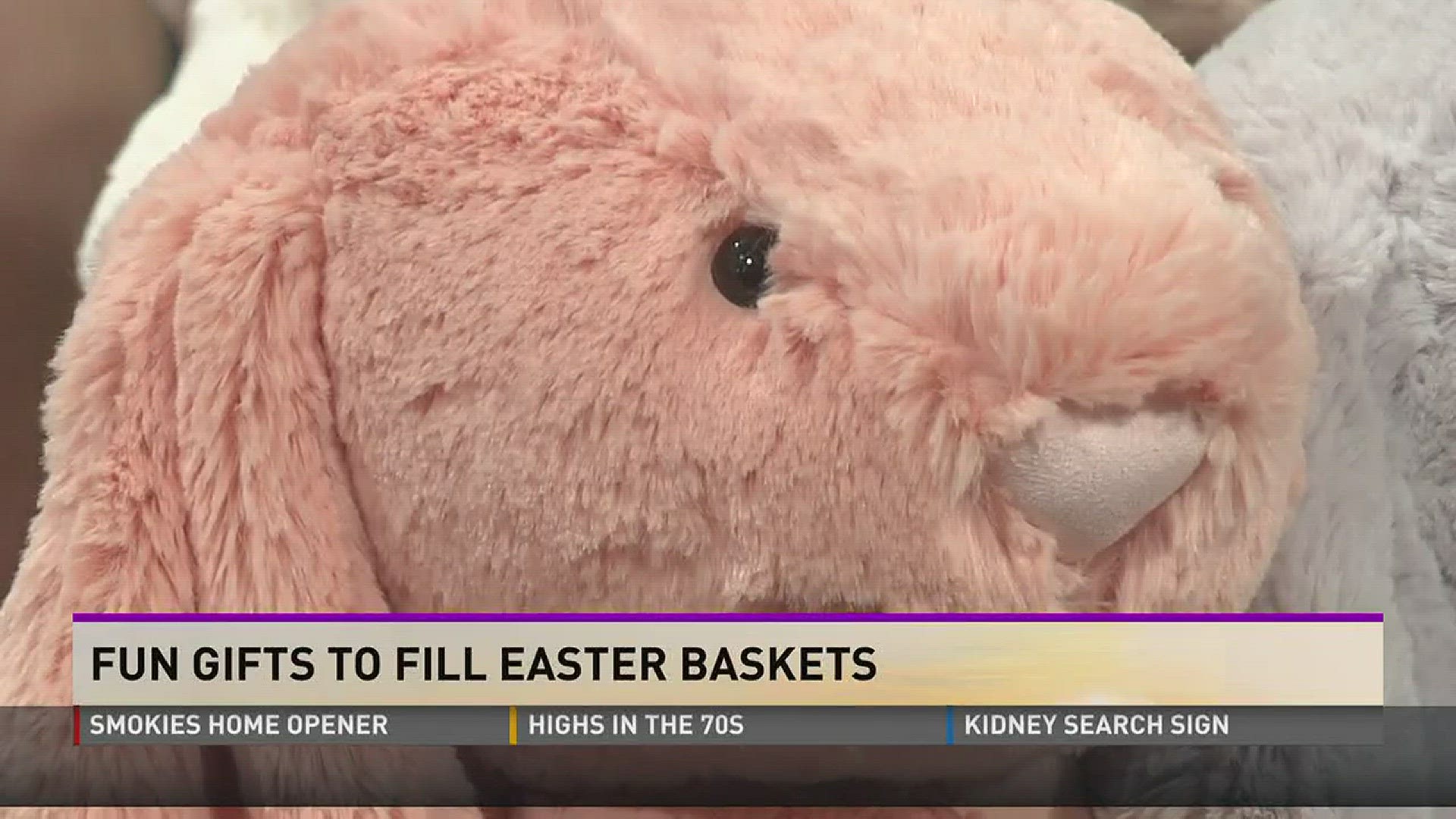 Fun Gifts to Fill Easter Baskets