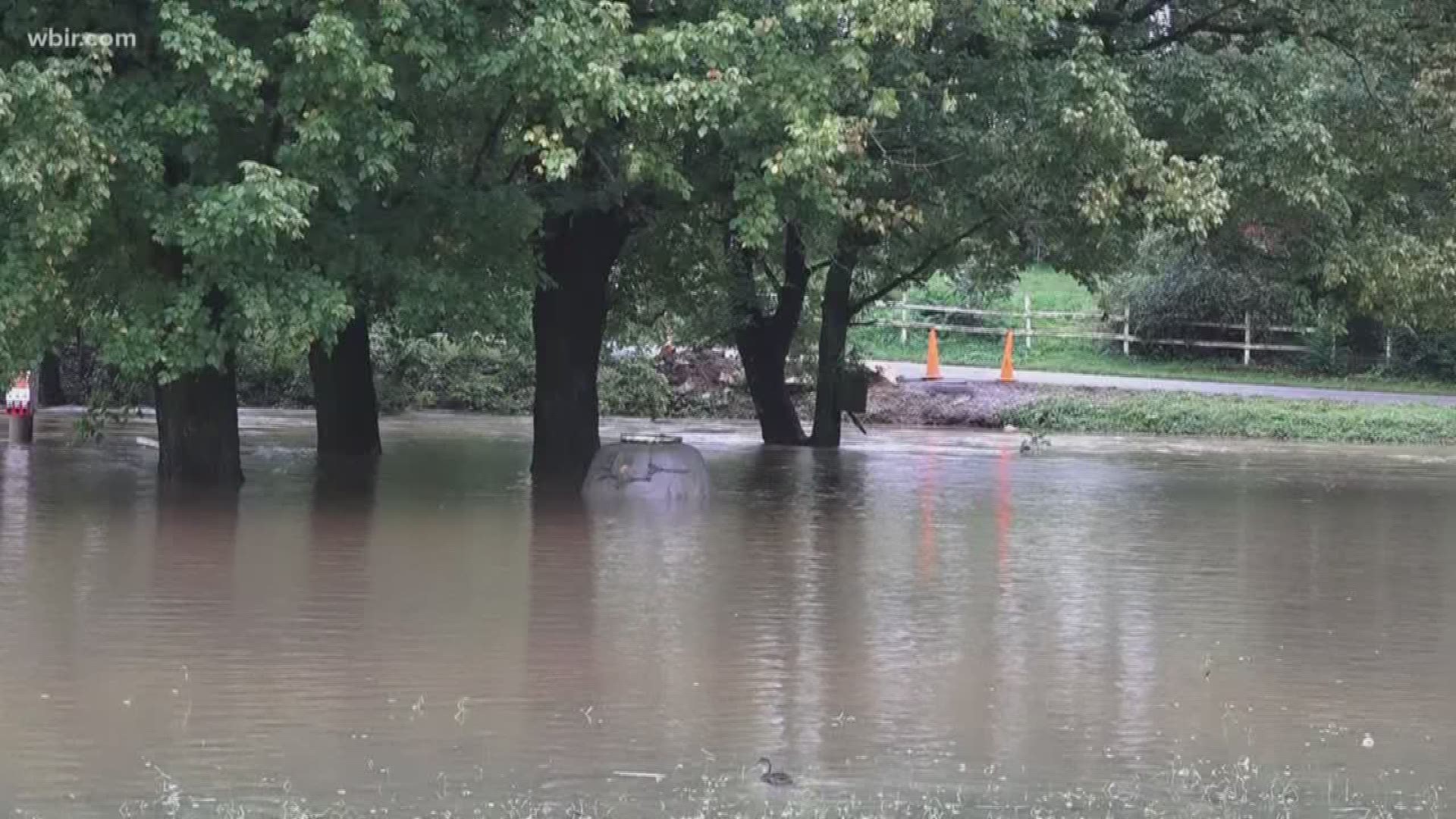 Heavy rain today caused flash flooding across the Tennessee Valley.