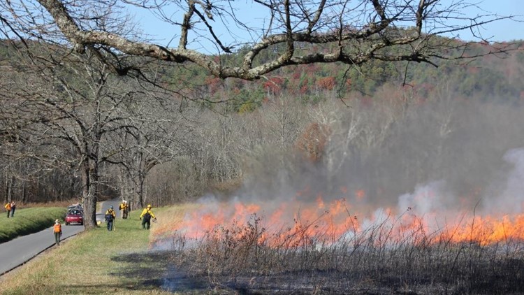 Crews conduct prescribed burns in Cades Cove using drones for the first time