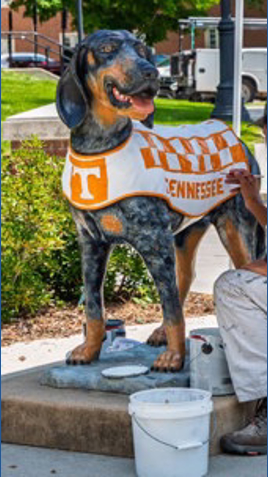 Smokey statutes on UT getting a refresh | wbir.com