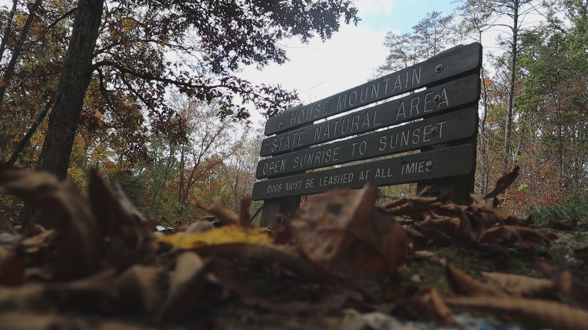 Top five Knox County hiking spots to see the fall colors